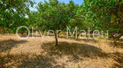 Foto 5 de Casa o chalet en venta en Establiments, Palma de Mallorca