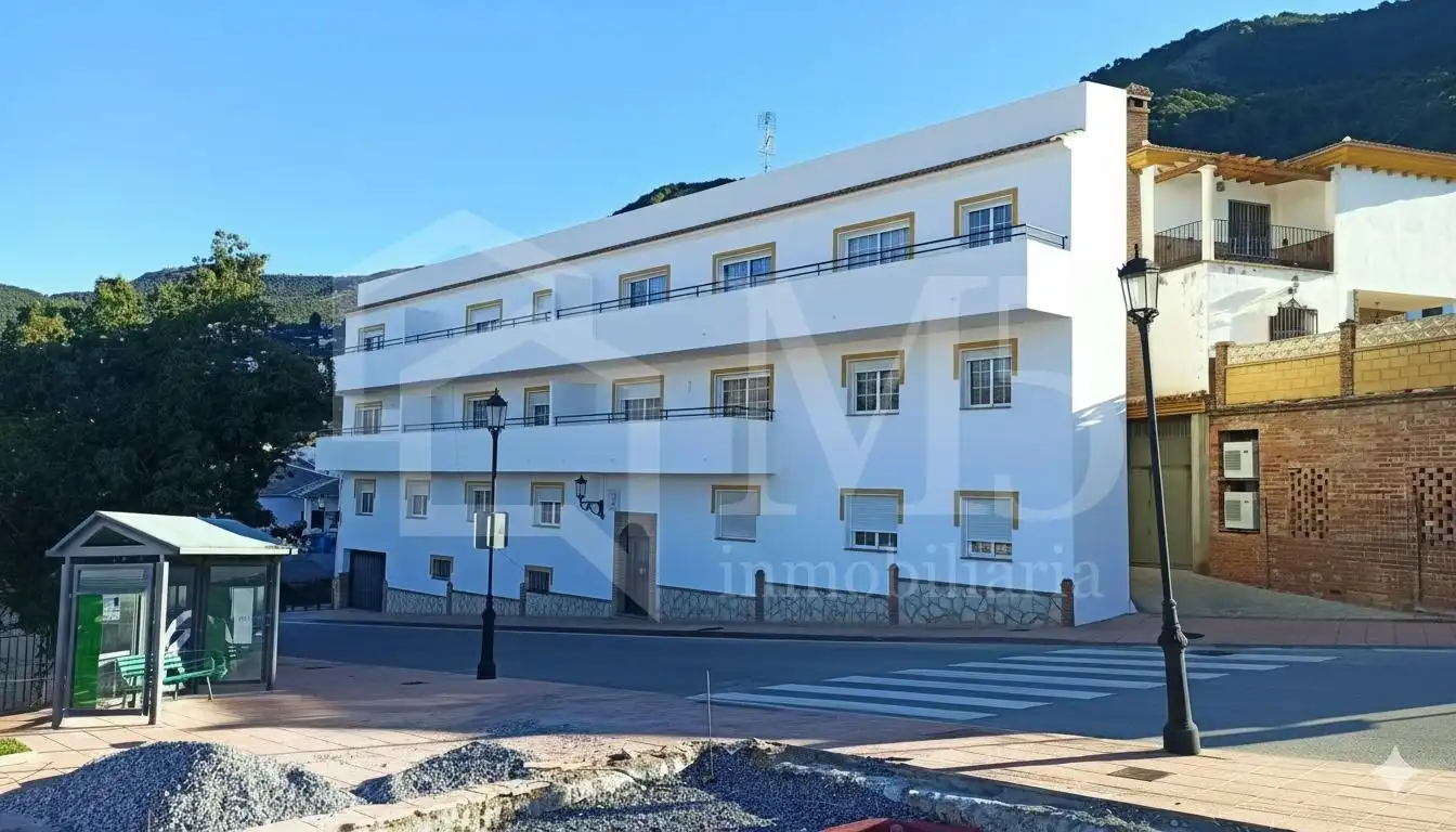 Vista exterior de Planta baja en venta en Alcaucín con Aire acondicionado, Terraza y Trastero