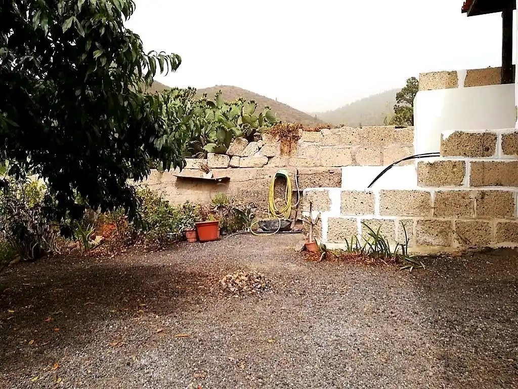 Jardín de Finca rústica en venta en Granadilla de Abona