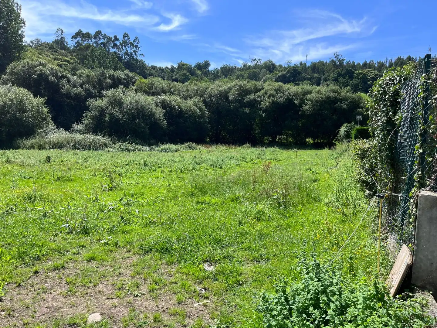 Residential for sale in Reocín