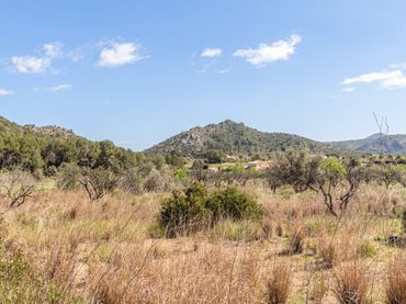 Terrenys i solars en venda a Orba