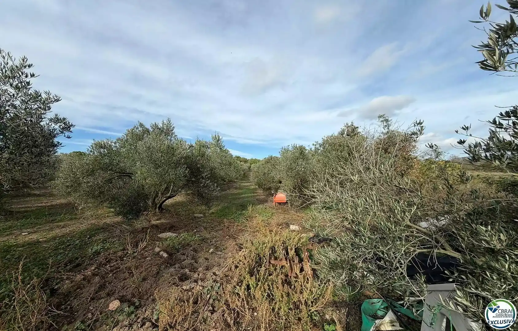 Residential land for sale in TORRE DEL VIENTO, imagen 18