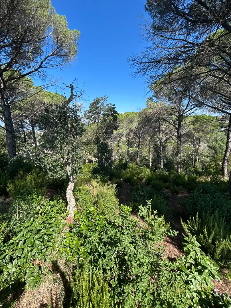 Residential land for sale in Avinguda de la Senyera 27, imagen 6