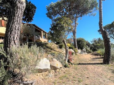 Xalet amb jardí en venda a Arbúcies