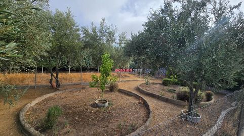 Foto 4 de Casa o chalet en venta en Alcaracejos, Córdoba