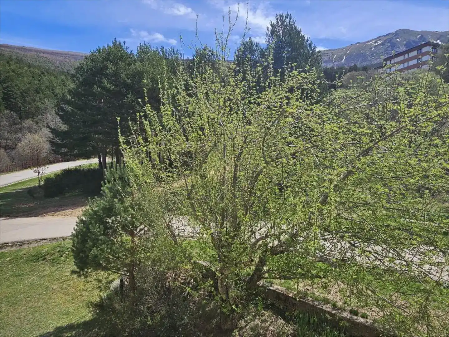 Estudi en venda en Cerezo de Arriba