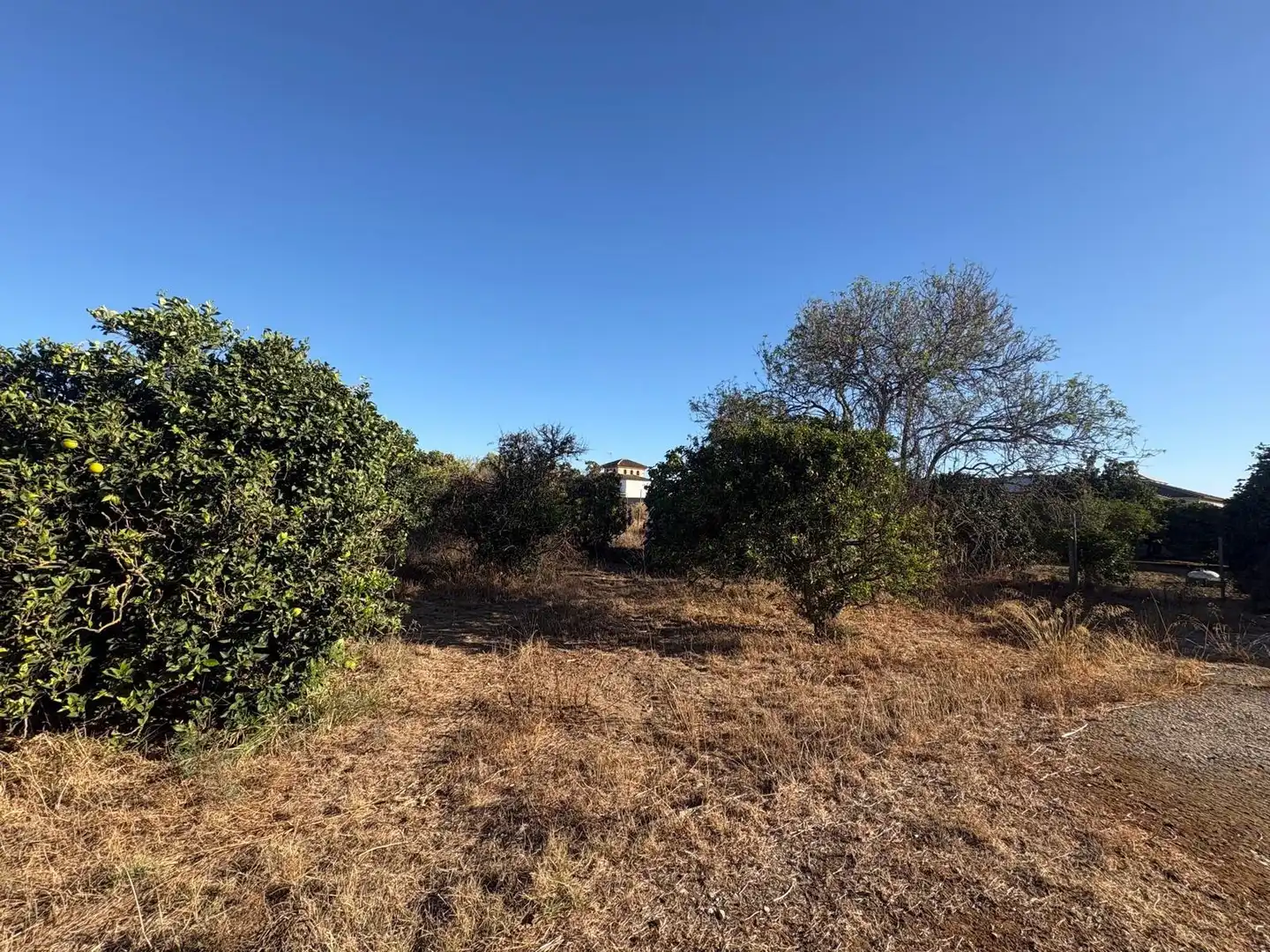 Casa o xalet en venda en Chiclana de la Frontera amb Aire condicionat, Jardí privat i Piscina