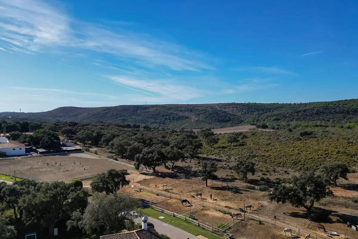 Casa o xalet en venda en Sotogrande amb Aire condicionat, Jardí privat i Terrassa