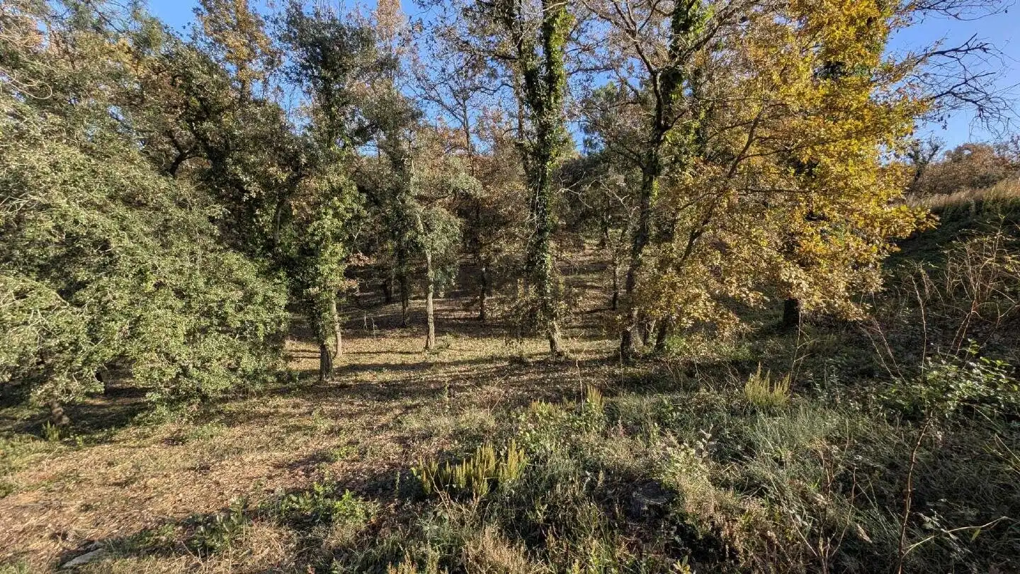 Wohnbaugrundstück zum Verkauf in Bescanó, imagen 8