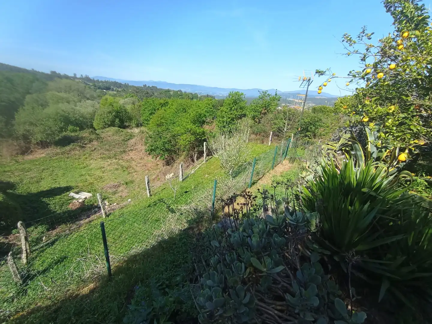 House with garden for sale in As Neves, imagen 15