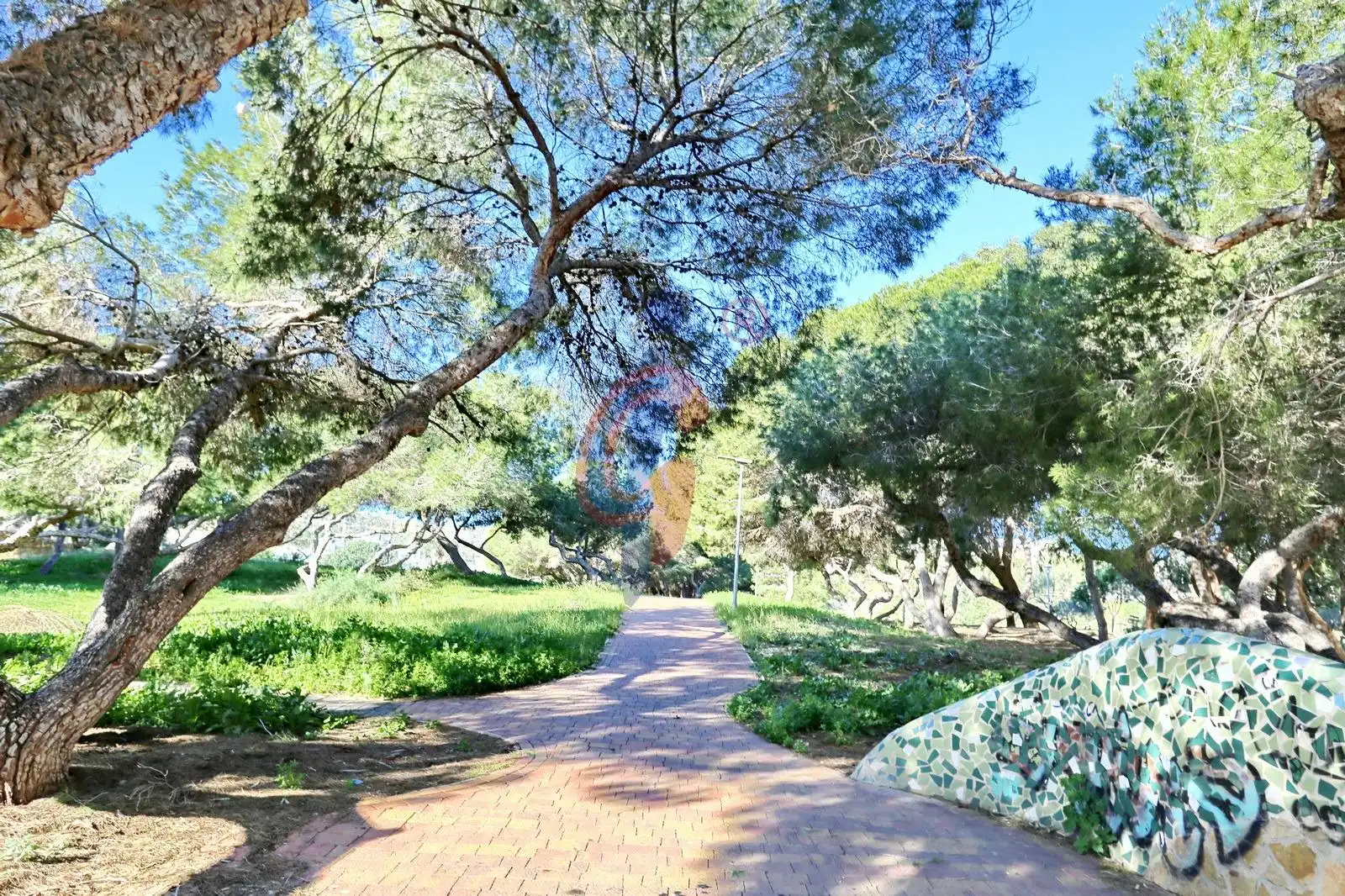 Vista exterior de Apartamento en venta en Guardamar del Segura con Amueblado y Balcón