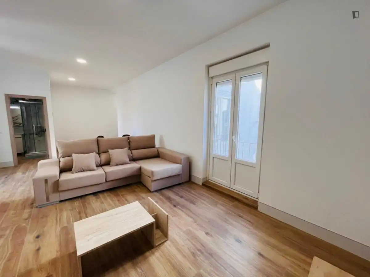 Apartments for rent in Universidad - Malasaña