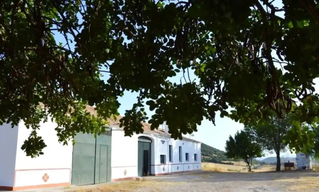 Casa rústica en venda a Algodonales, imagen 8