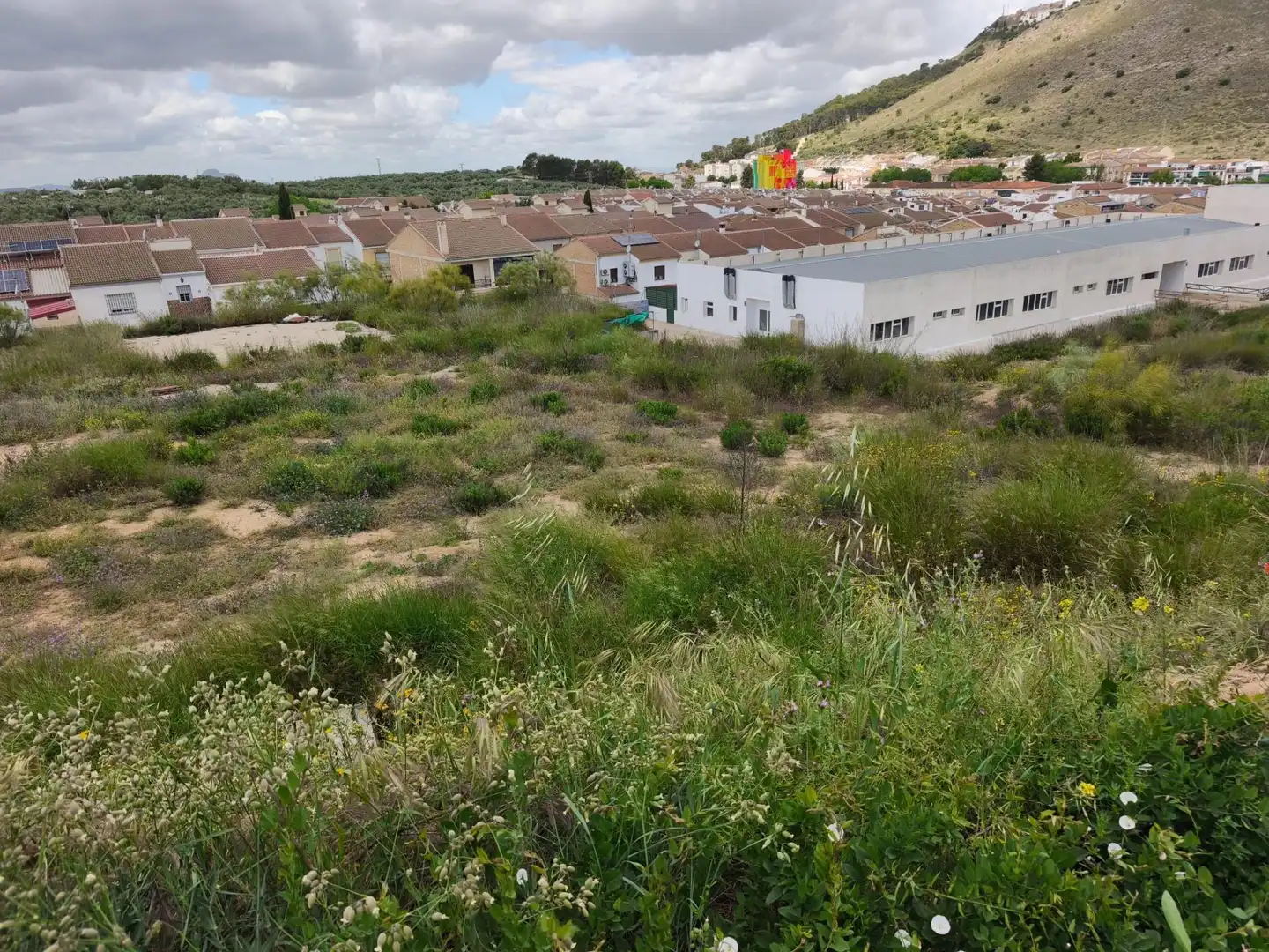 Inmuebles singulares en venta en Archidona, imagen 2
