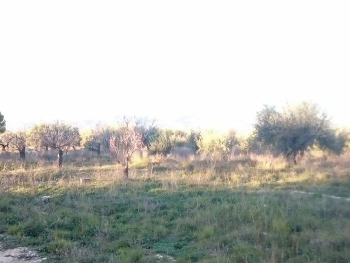 Terreni e lotti in vendita a Moratalla, imagen 20