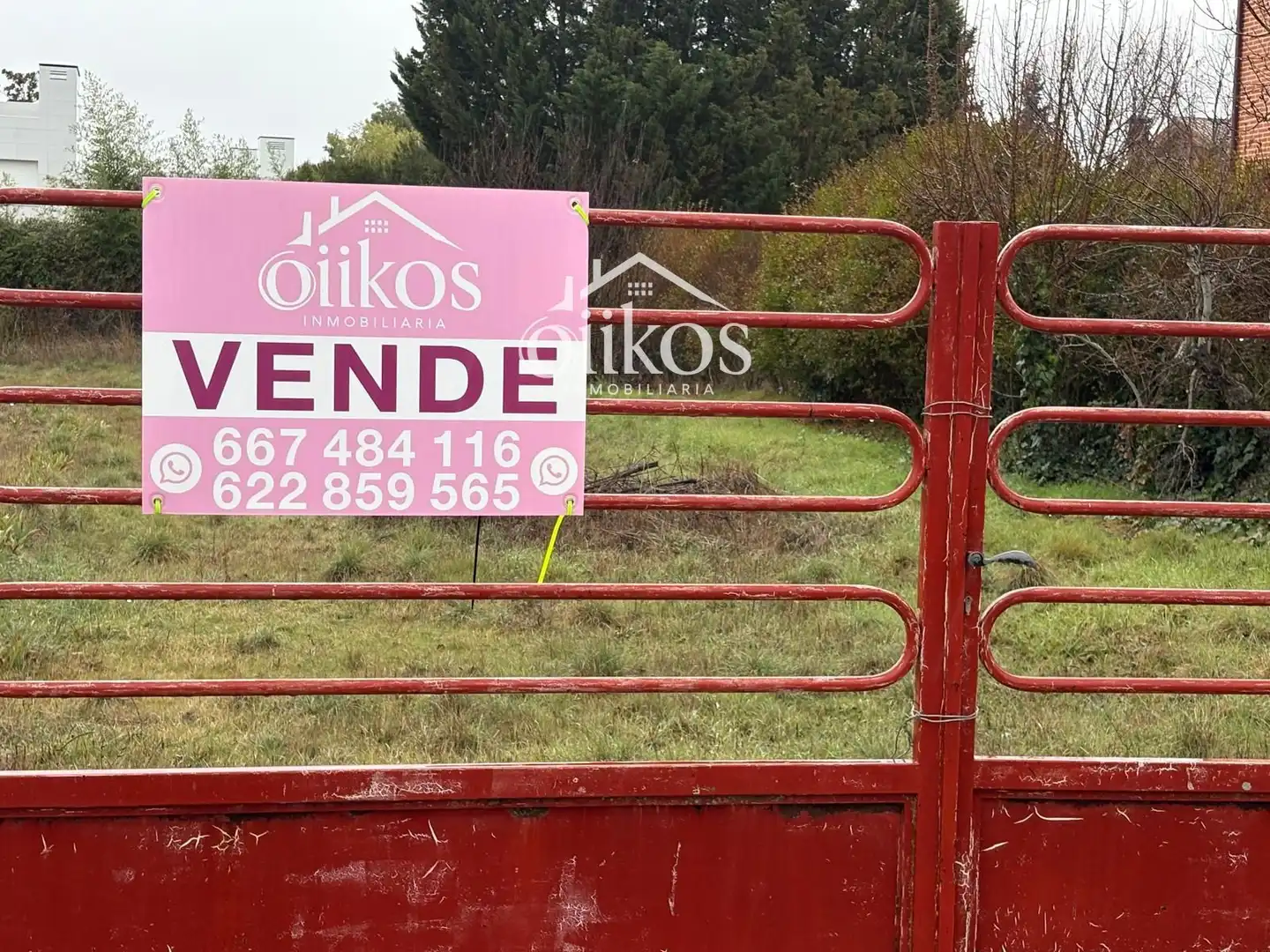 Terreno rústico en venta en Mirlo 16, imagen 12