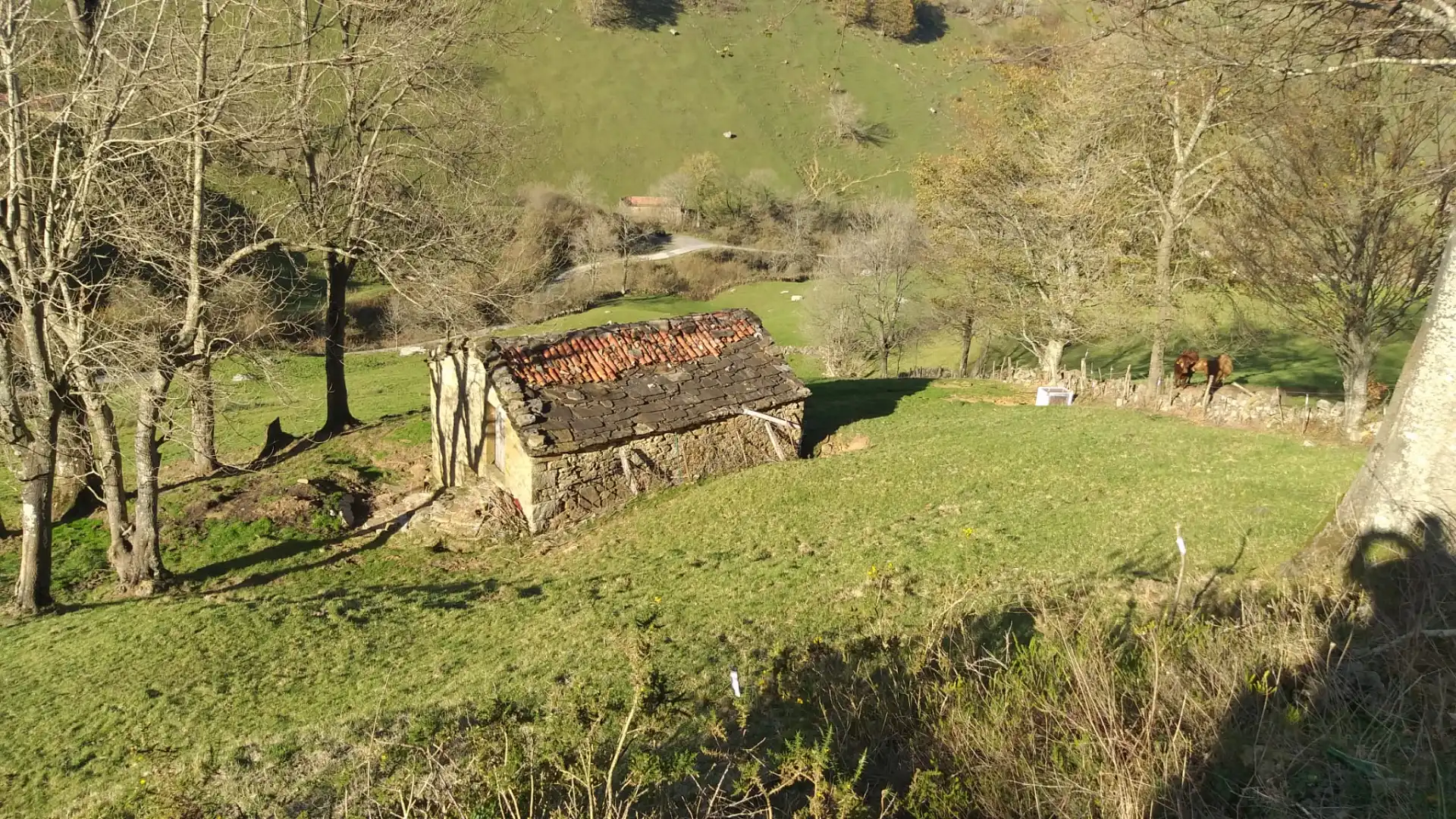 Vista exterior de Casa o chalet en venta en Soba con Jardín privado