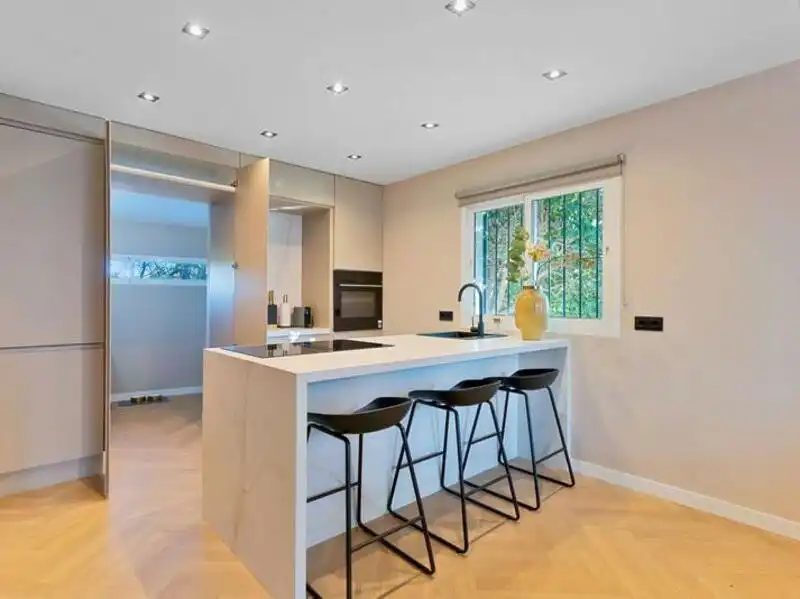 Detached homes for rent in Guadalmina Baja