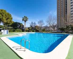 Piscina de Apartament en venda en Benidorm amb Piscina comunitària