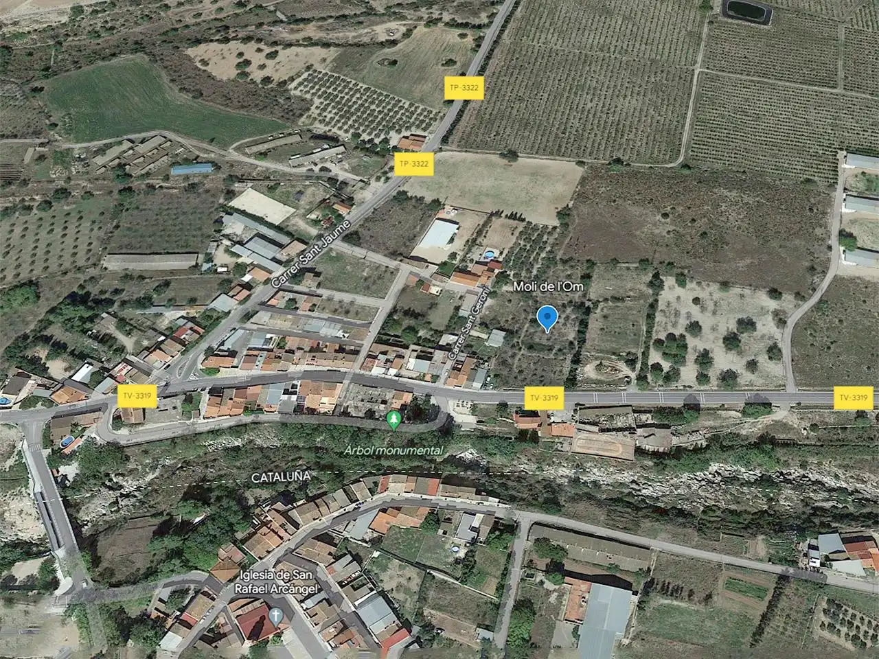 Terreny rústic en venda a Partida Moli de l'Om, imagen 12