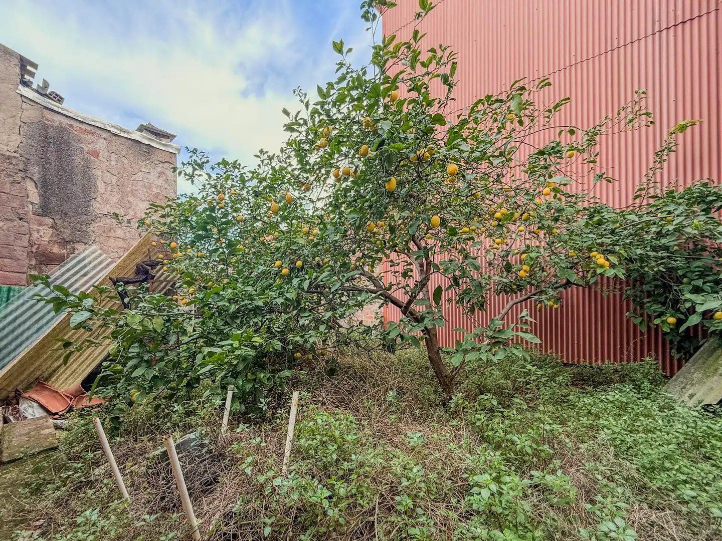 Lands and plots for sale in Concòrdia - Can Rull, imagen 5