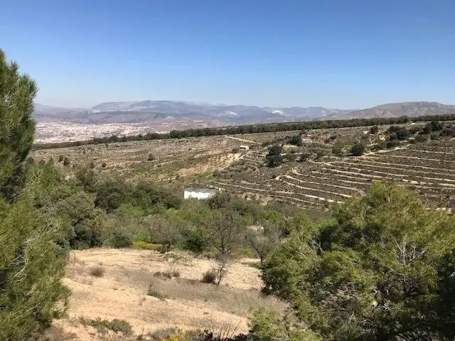 Grundstücke zum Verkauf in La Zubia