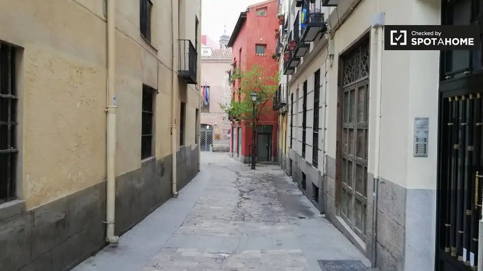 Pis de lloguer a Centro, imagen 14