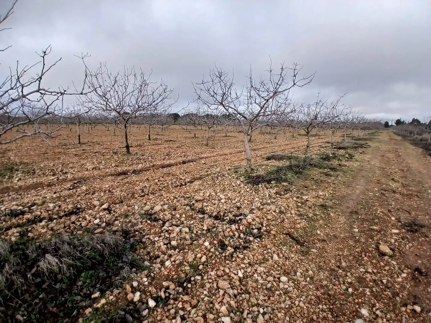 Rural land for sale in Carretera Solana, imagen 12