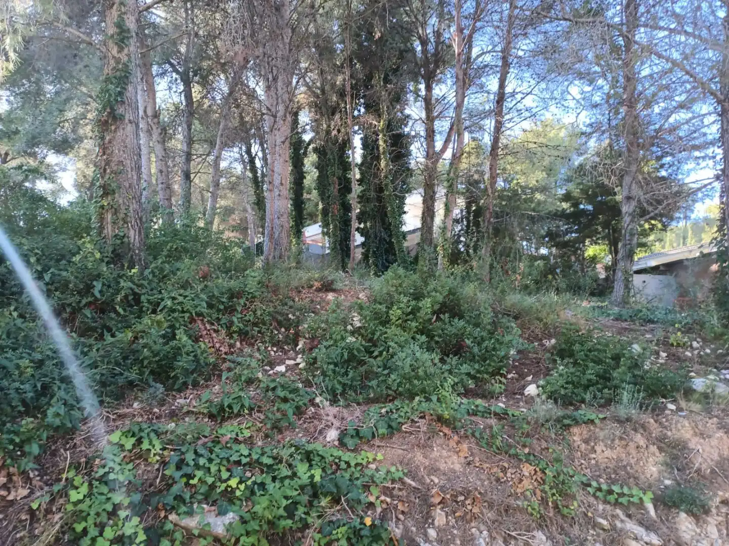 Wohnbaugrundstück zum Verkauf in Carrer de Càceres 2, imagen 2