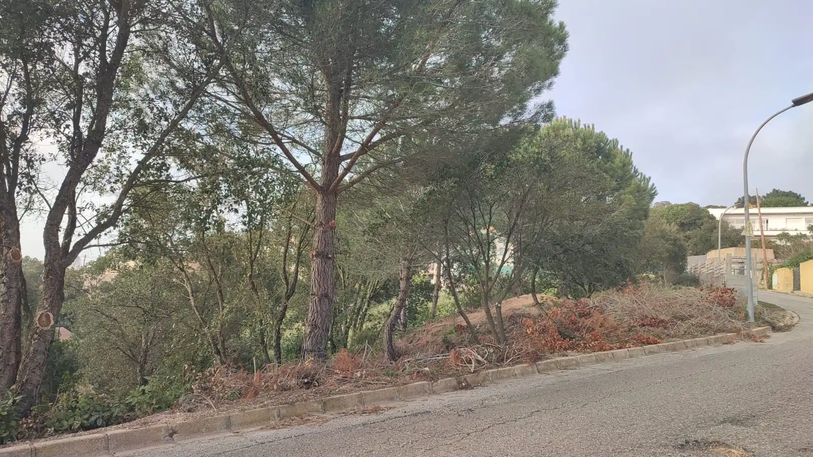 Terreny residencial en venda a Avinguda de la Senyera, imagen 5