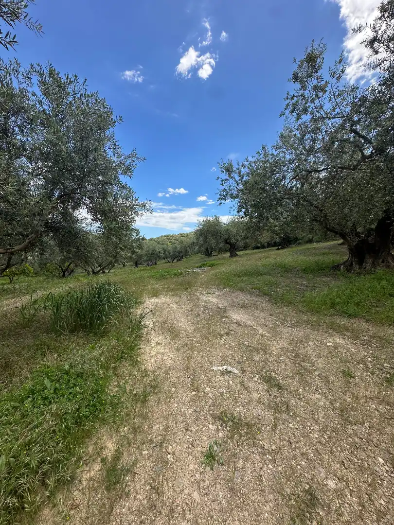 Terreni e lotti in vendita a Periana, imagen 41