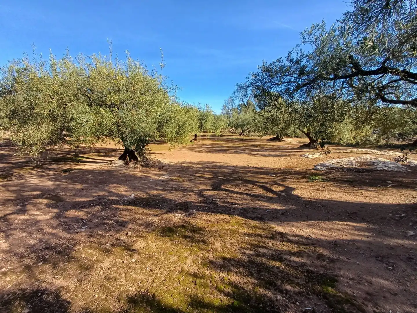 Land for sale in Aldover