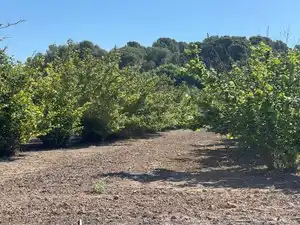 Terreno rustico in vendita a Avinguda de Reus 10, imagen 19