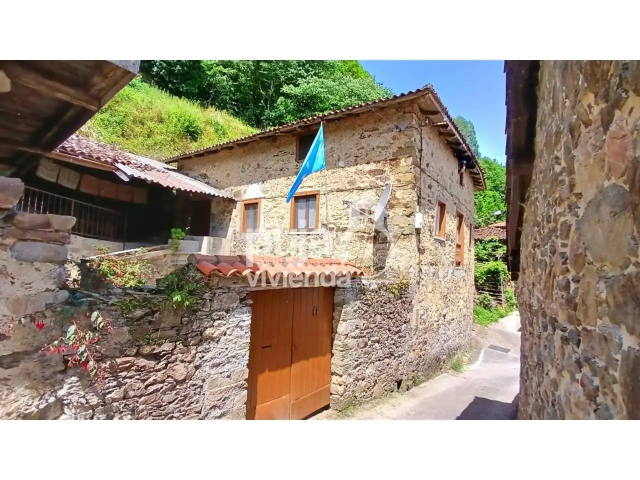 Vista exterior de Casa o chalet en venta en Tineo con Jardín privado, Terraza y Amueblado