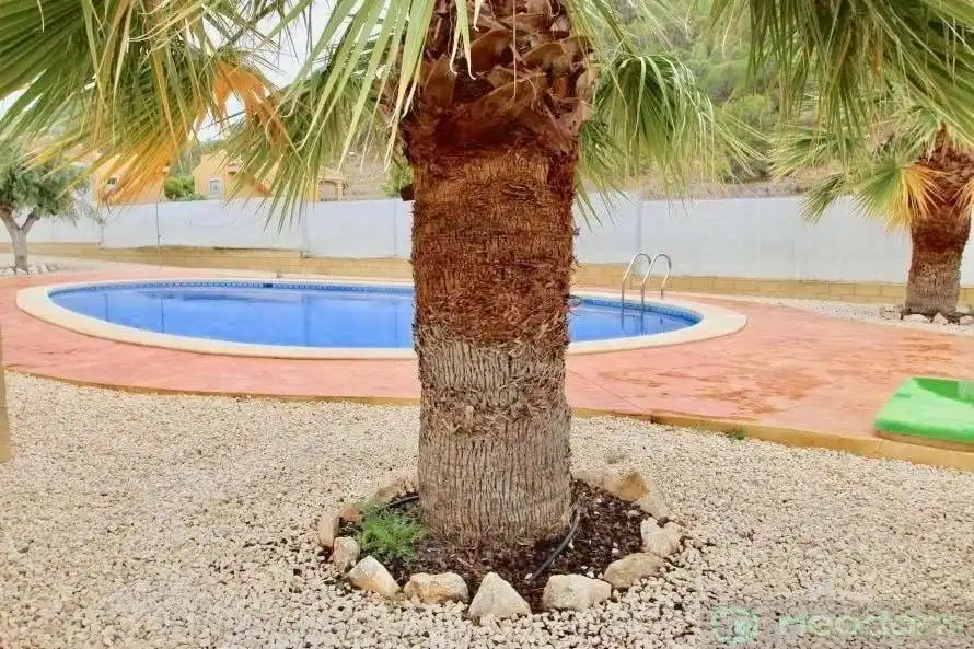 Piscina de Casa o xalet en venda en La Romana amb Terrassa