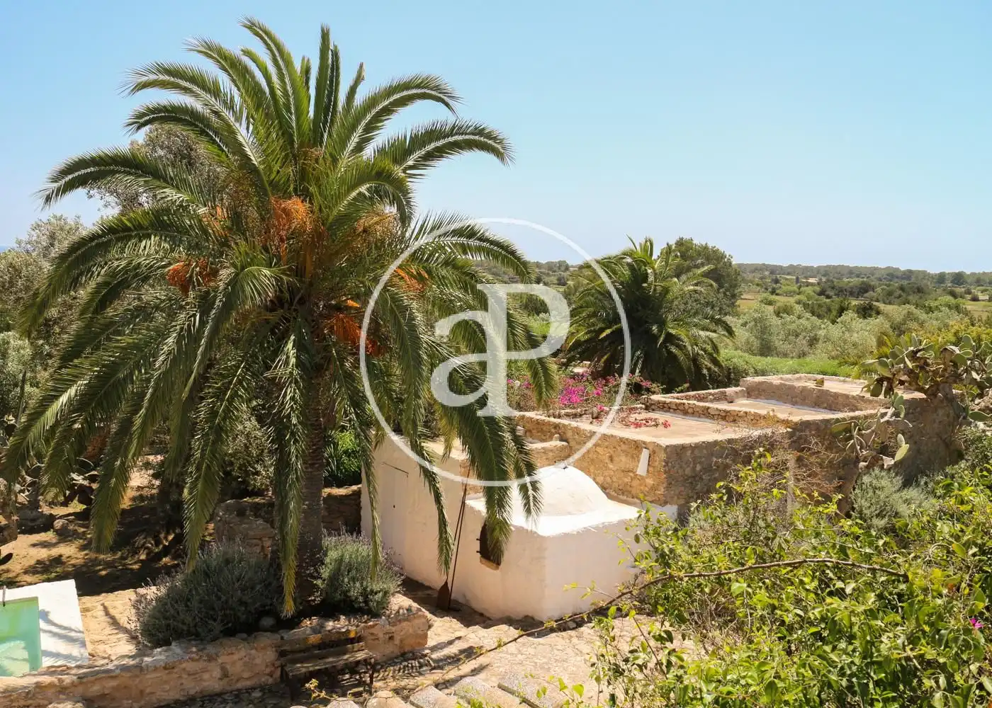 Jardín de Casa o chalet en venta en Formentera con Aire acondicionado, Calefacción y Jardín privado