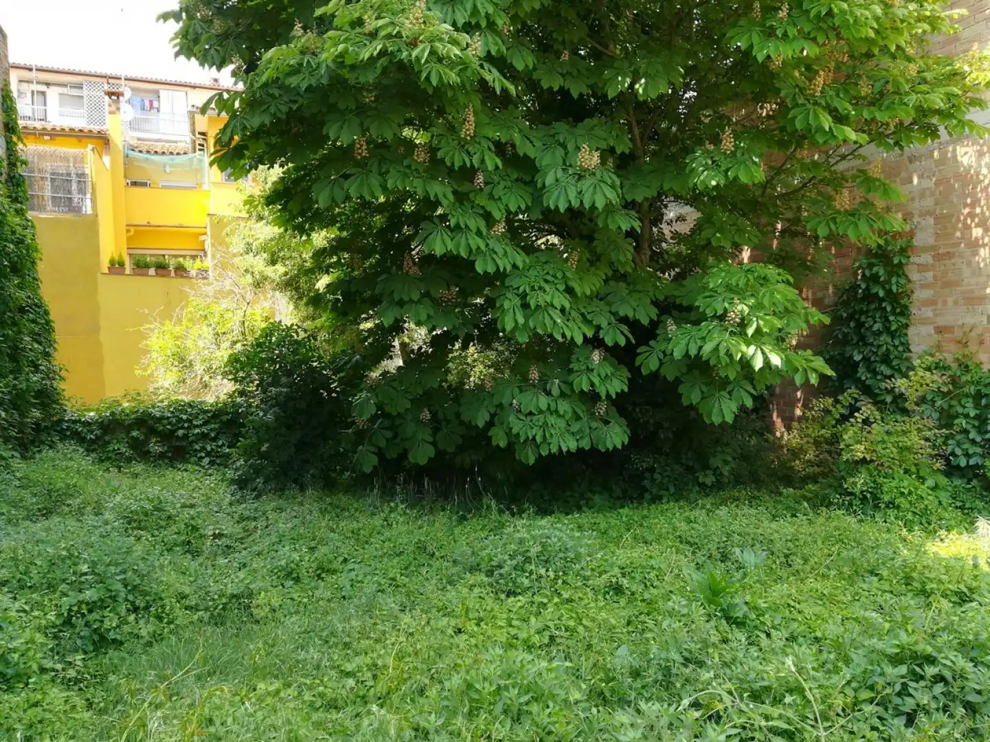 Terreny residencial en venda a Centelles - Avinguda Escoles, imagen 7