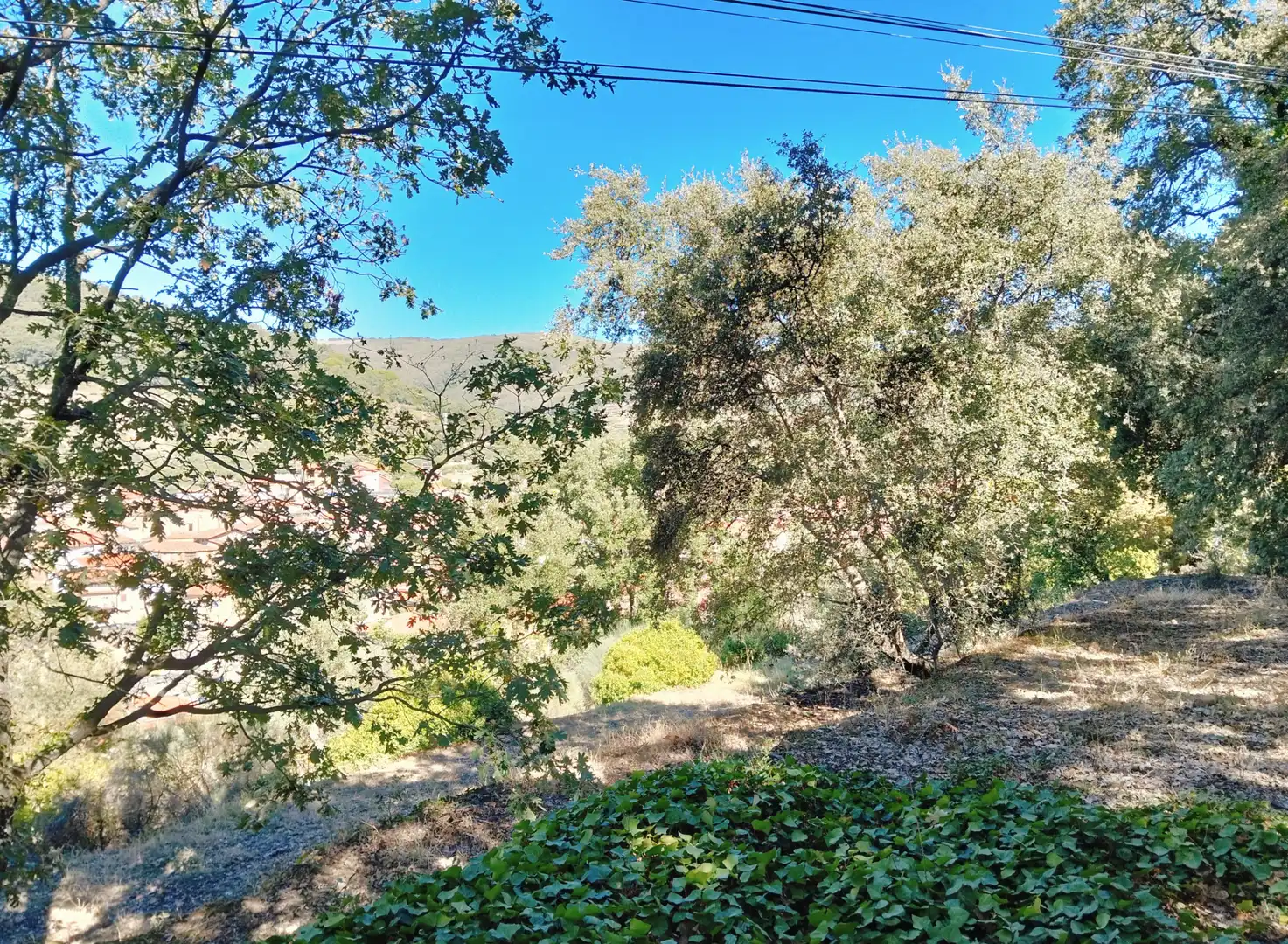 Residencial en venda en Pasarón de la Vera
