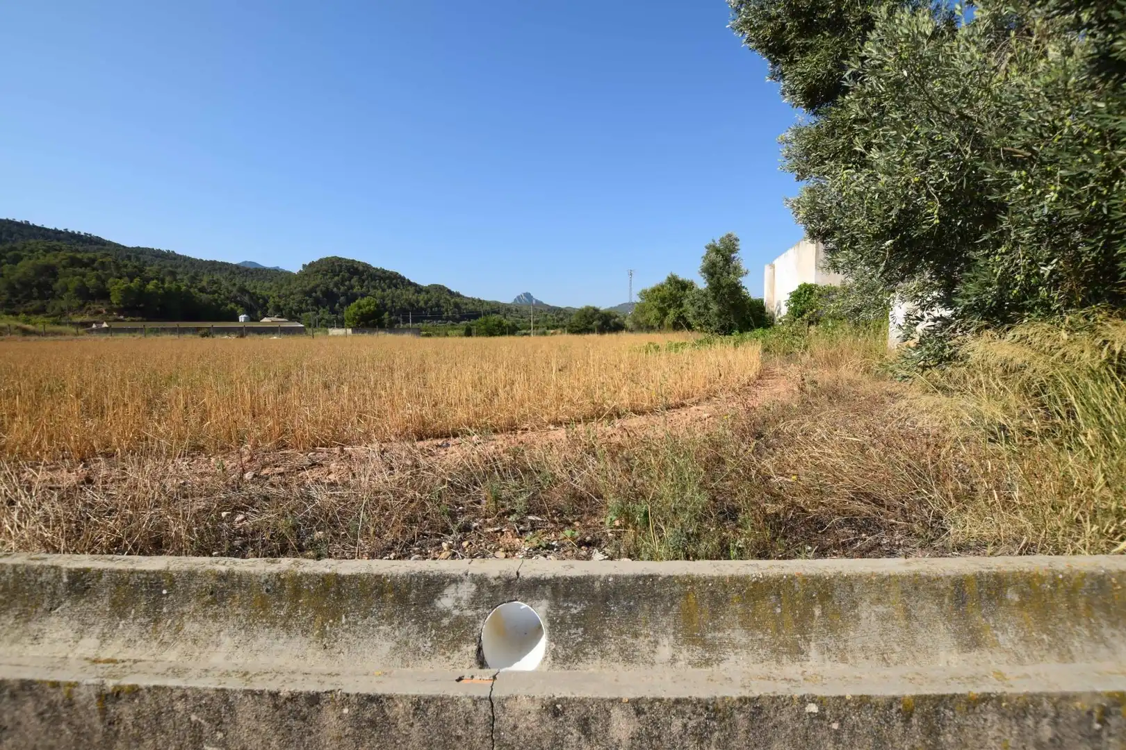 Houses for sale in DISEMINAT, Bot