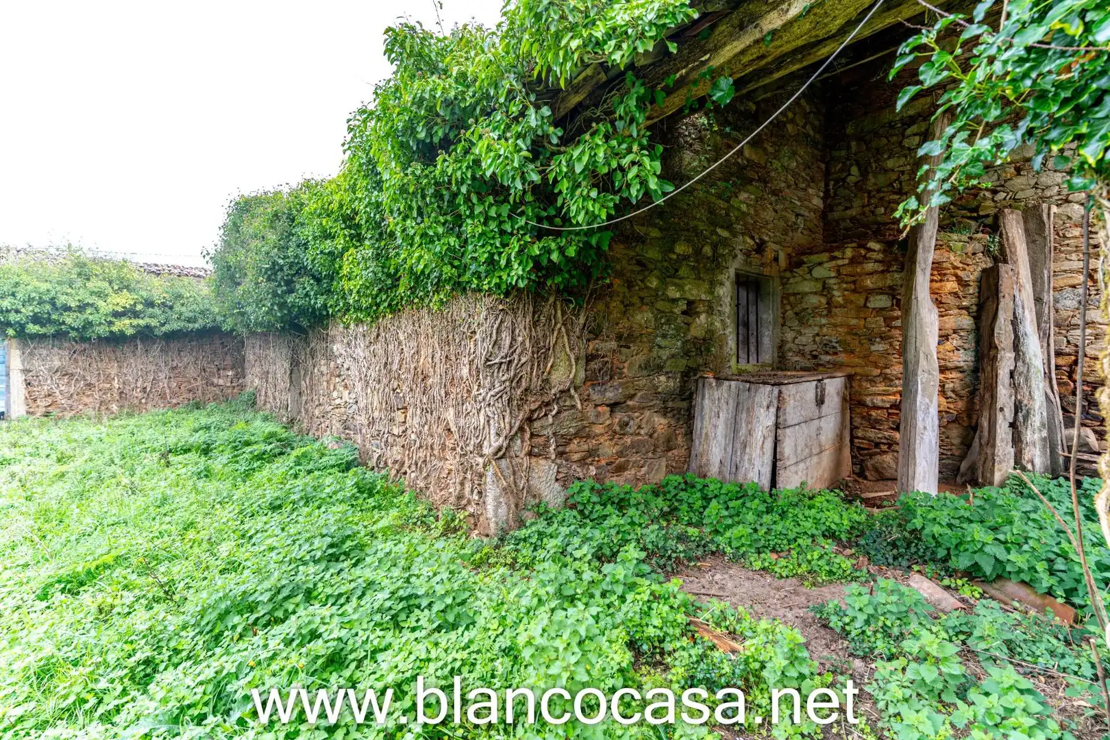 Jardín de Finca rústica en venta en Coristanco con Jardín privado