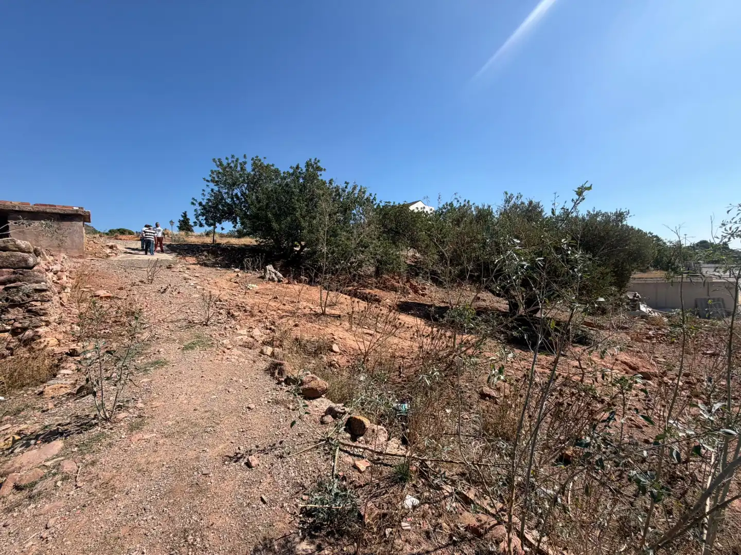 Terrain rustique à vendre à Carrer Horta Nova, imagen 4