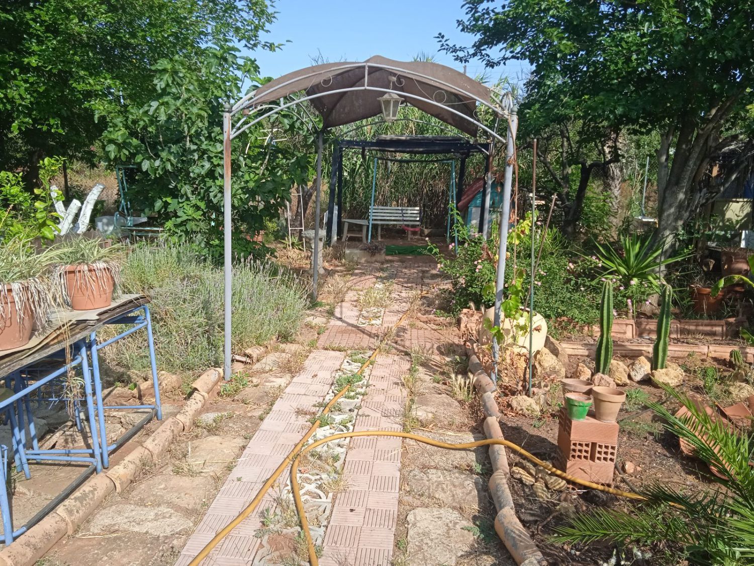 Finca rústica en venda en Alcalá de Guadaira