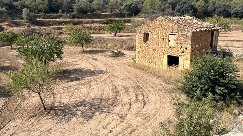 Finca con pozo productivo y maset en Valjunquera