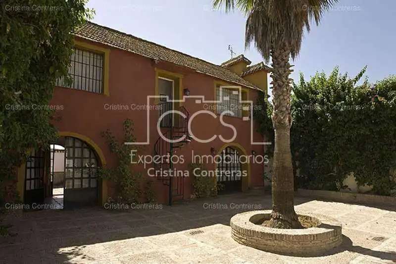 Vista exterior de Finca rústica en venta en Alcalá de Guadaira con Jardín privado y Piscina