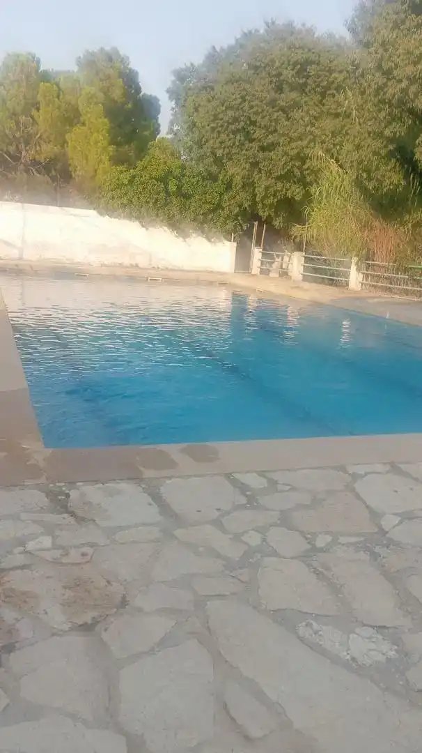 Swimming pool of Houses for sale in Beceite