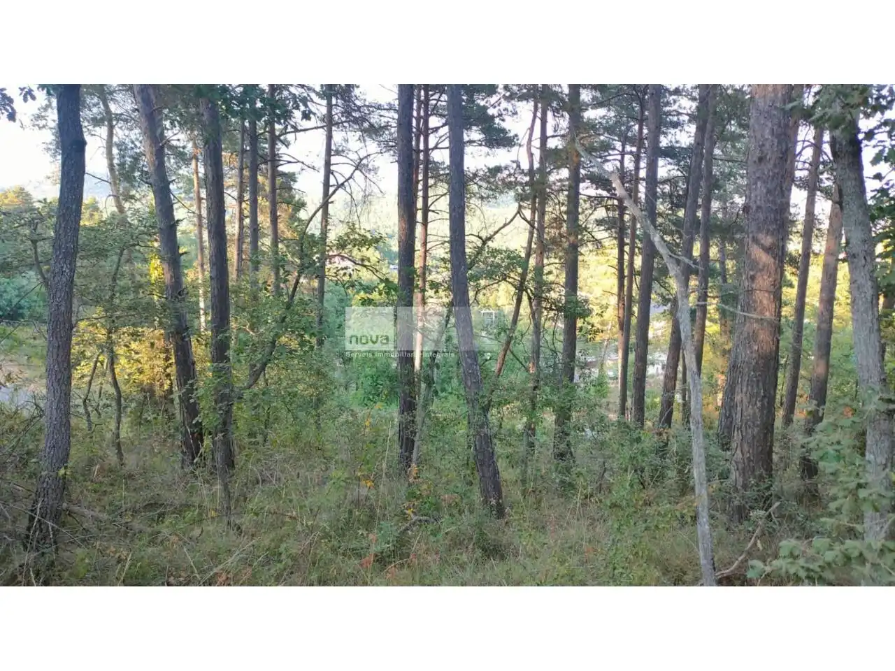 Wohnbaugrundstück zum Verkauf in Muntanyola, imagen 6