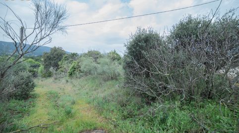 Foto 4 de Residencial en venta en El Tiemblo , Ávila
