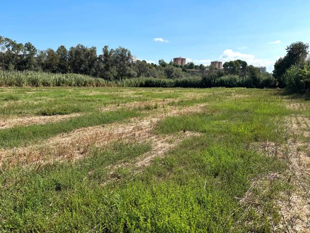 Terreno en Venta en Martorell