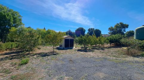 Gran oportunidad. Ollauri. Bonita finca rústica de 1.247 m2 en el precio de 30.000 €., immagine 3