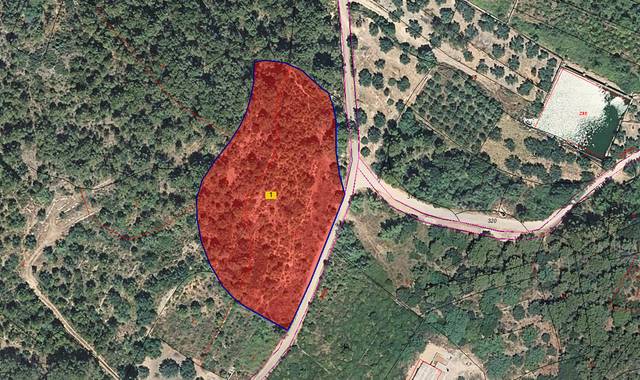 Terreno en Venta en N/A, -1 en Artana